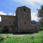 Countryside in Majorca