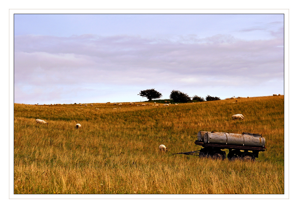Countryside - Landschaft