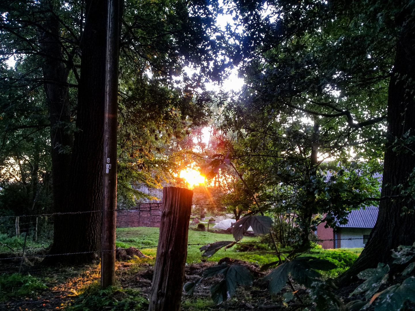 Countryside sunset