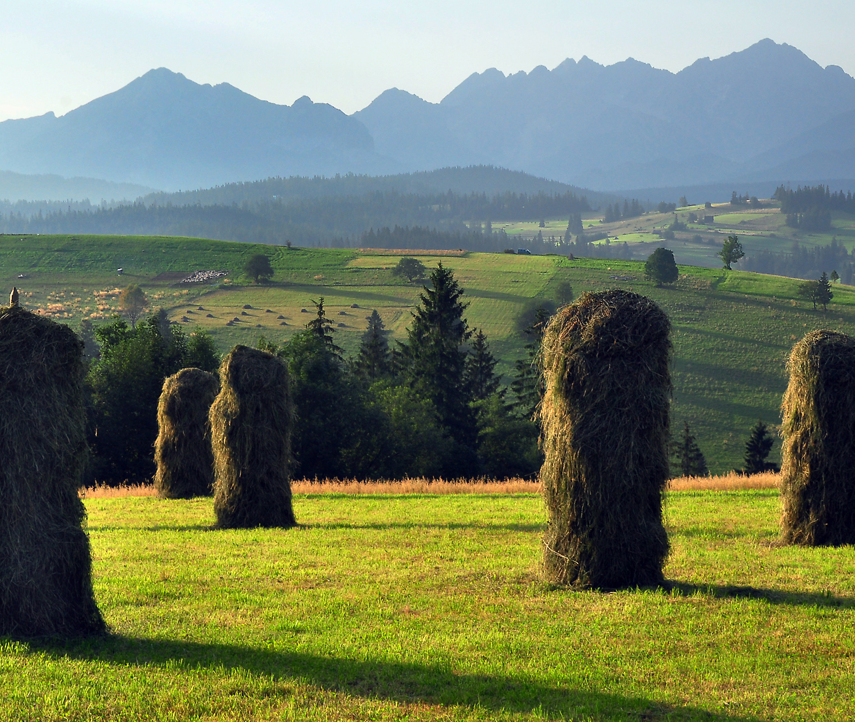 countryside with view over the Tatras