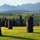 countryside with view over the Tatras