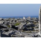 County Clare - Burren