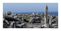 County Clare - Burren