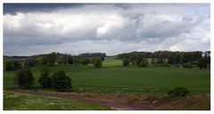 Countyside in Northumberland