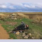 coup de fatigue sur le Camino francés