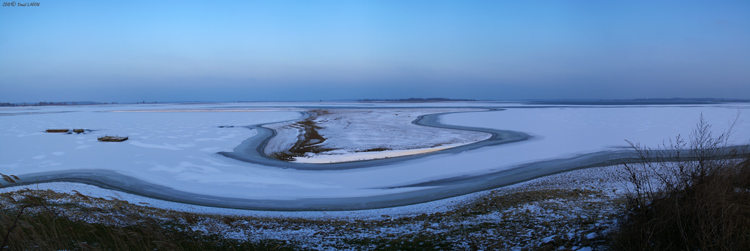 Coup de froid sur le Lac du Der