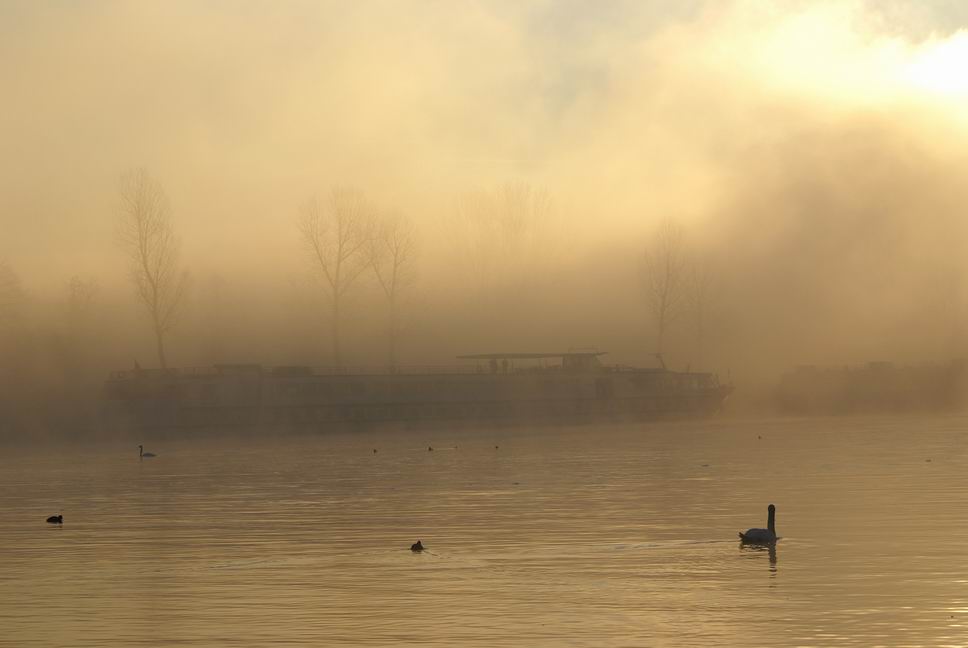 coup de froid sur le Rhin