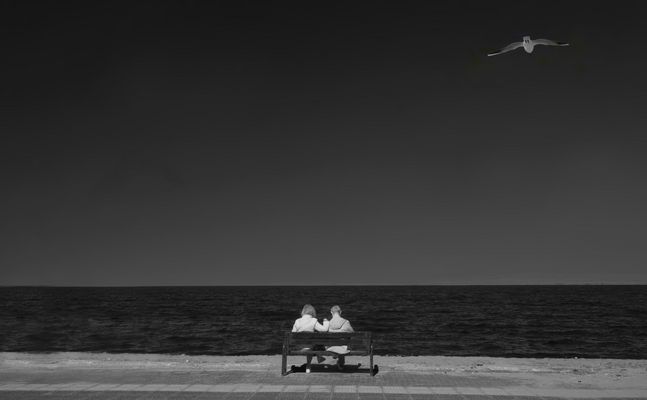 Couple and the seagull