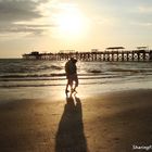 Couple at a Sunset in Florida