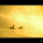 couple dans une brume d'or