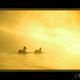 couple dans une brume d