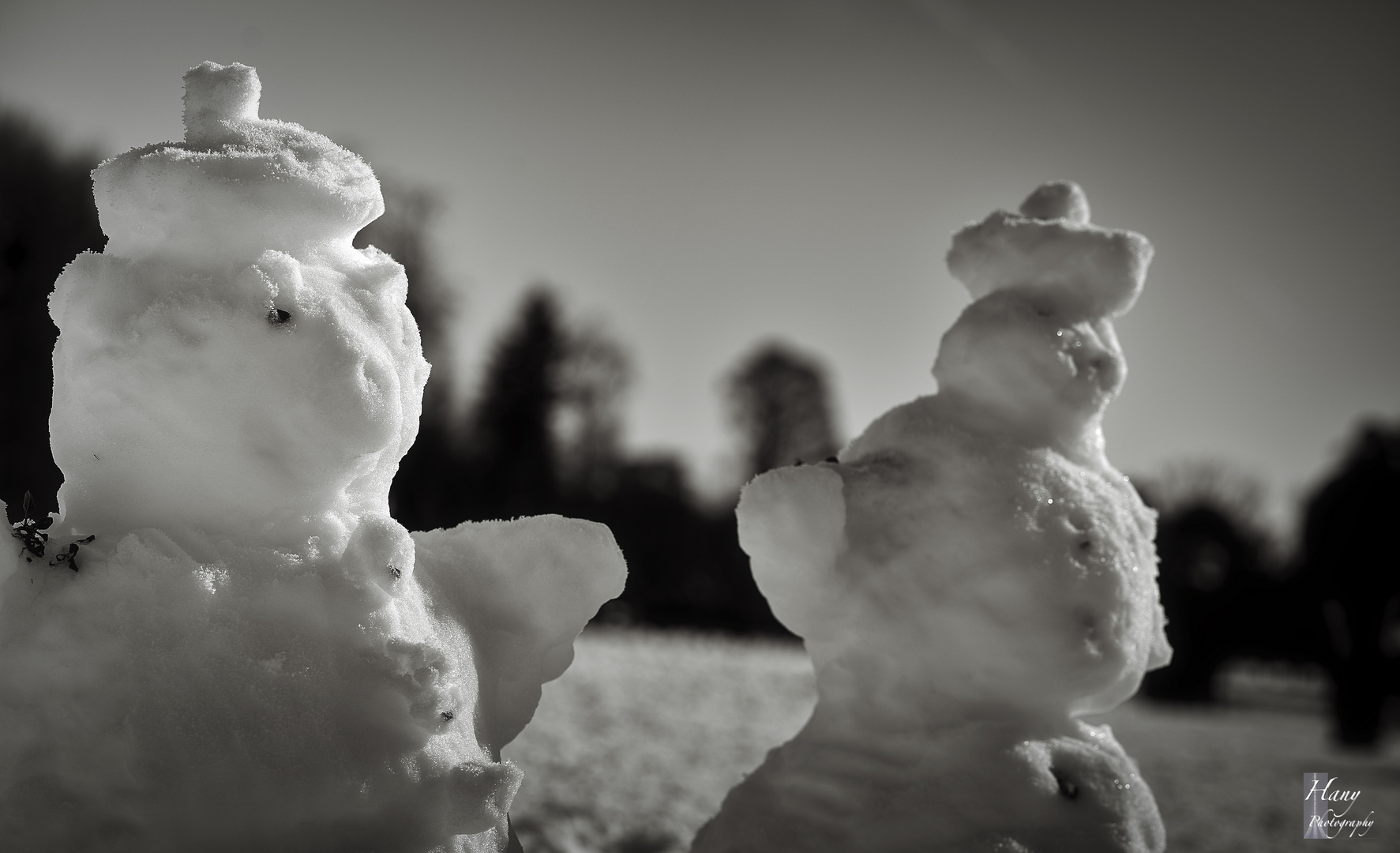 Couple de neige