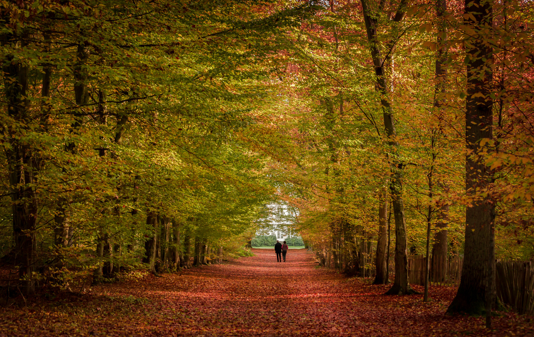 Couple en balade d'automne