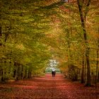 Couple en balade d'automne