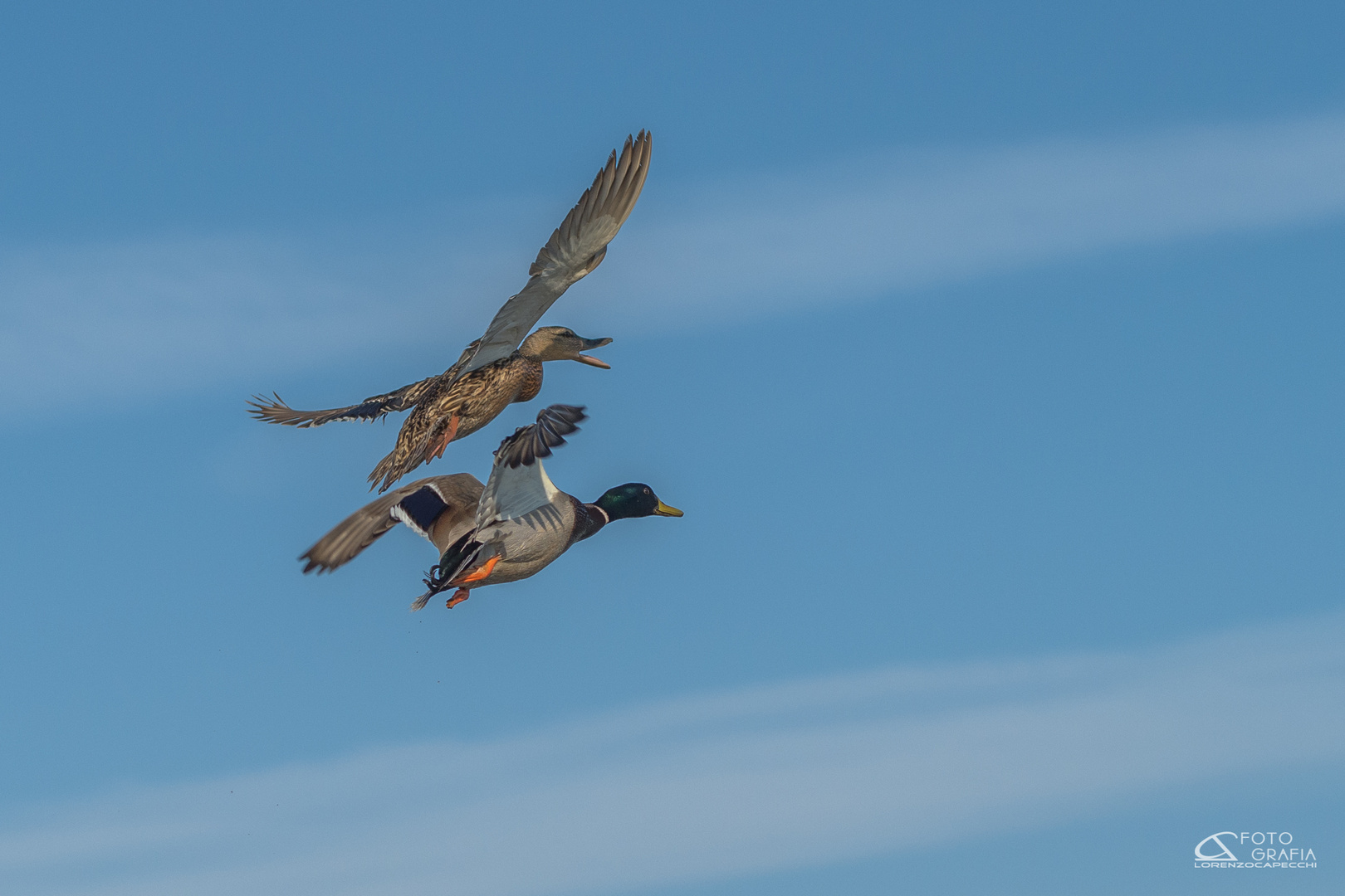 Couple flying