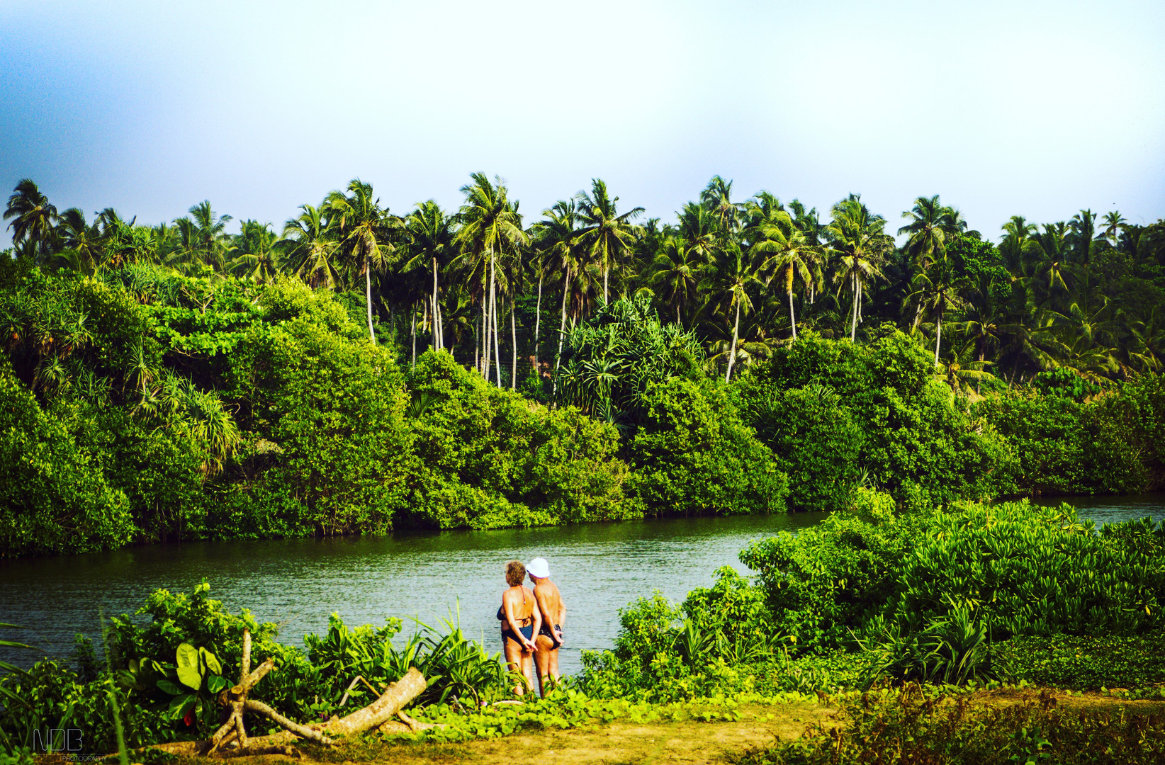 Couple in djungle