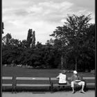 Couple in the Park