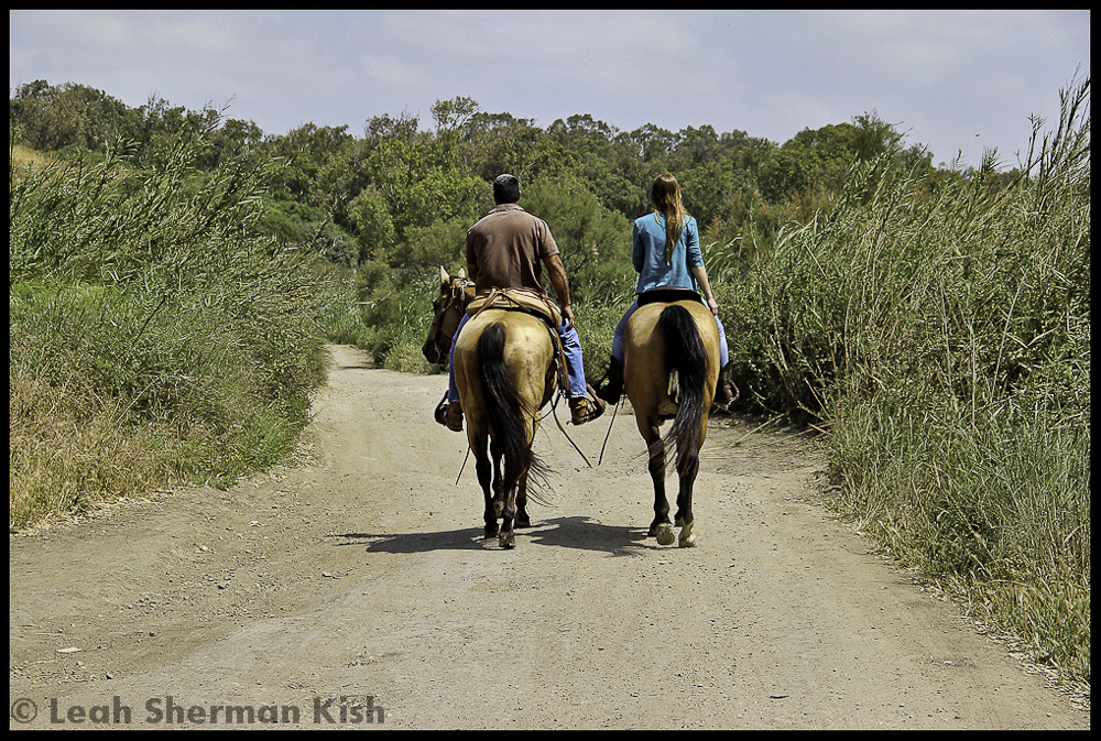 Couple on horses