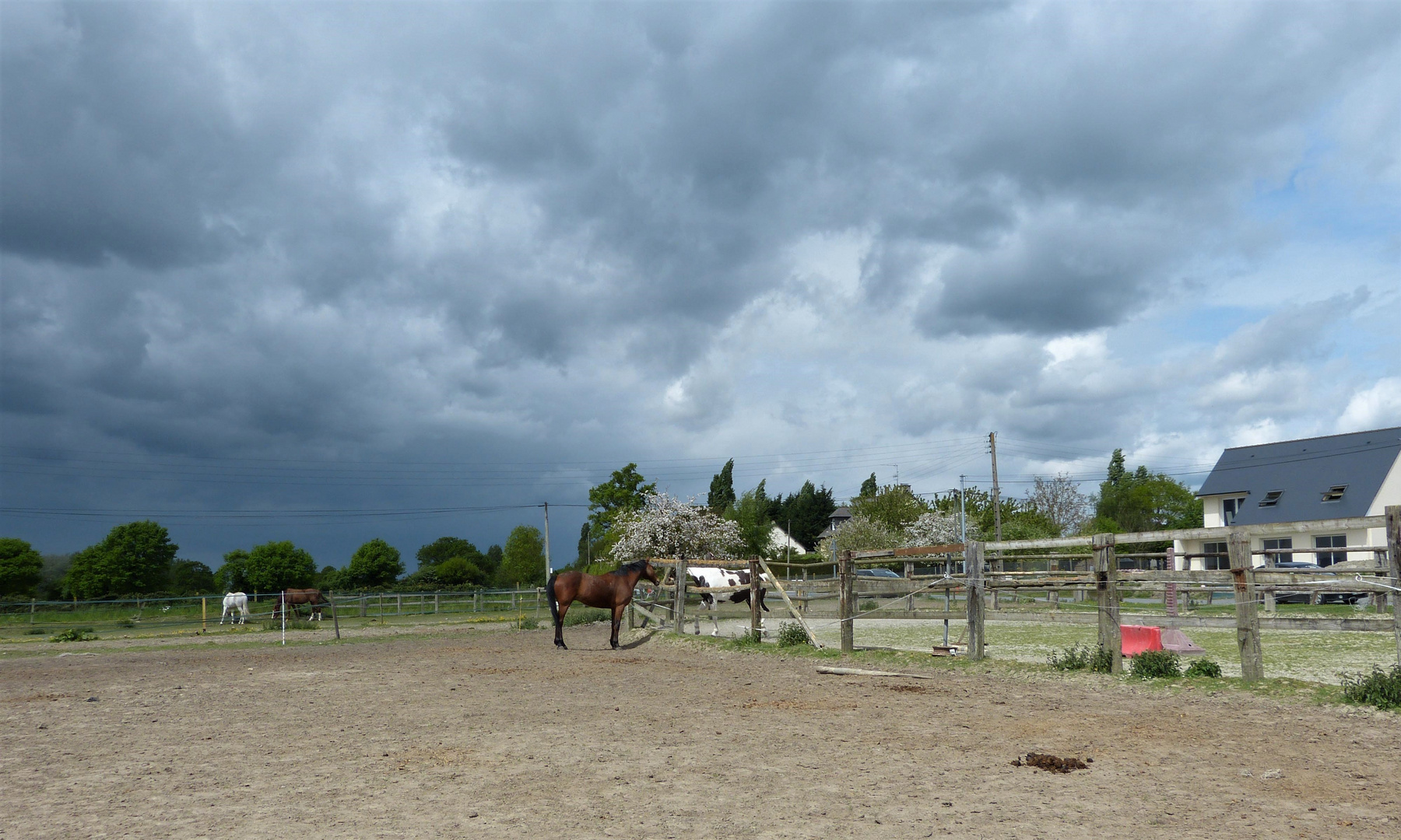 couples sous l'orage