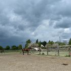 couples sous l'orage