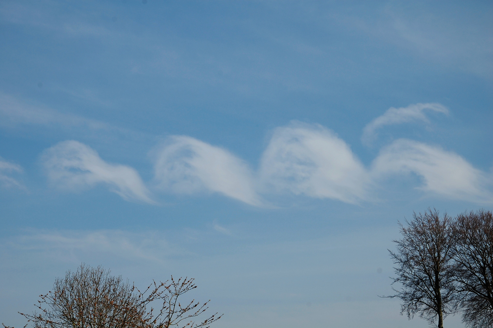 Coups de pinceaux de dame nature 2