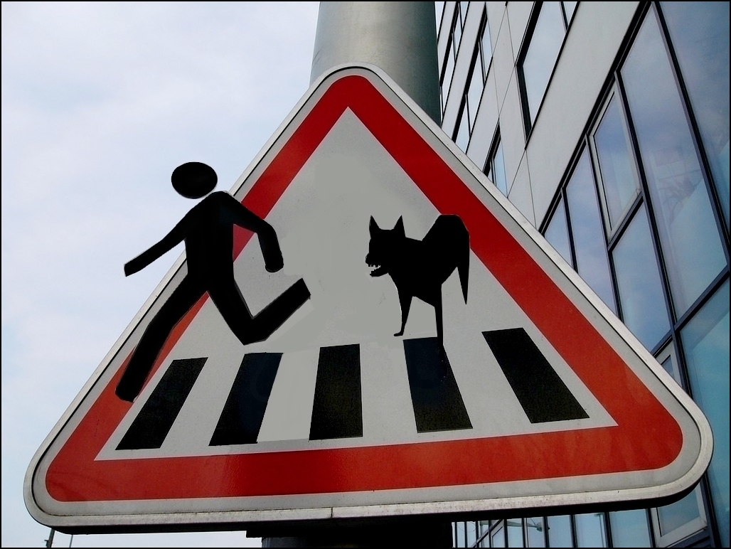 Scarica Gratis Images Courage Fuyons Photo Et Image Photos Marrantes Humour le plus cool salutations