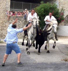 Courageux ou inconscient ???