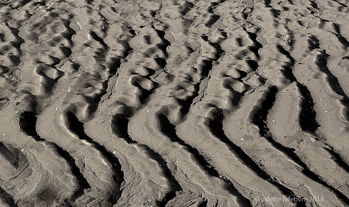 Courbes de sable