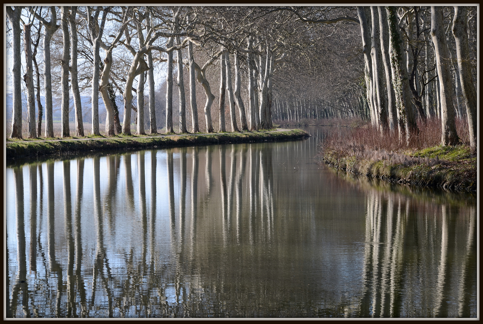 courbes et reflets