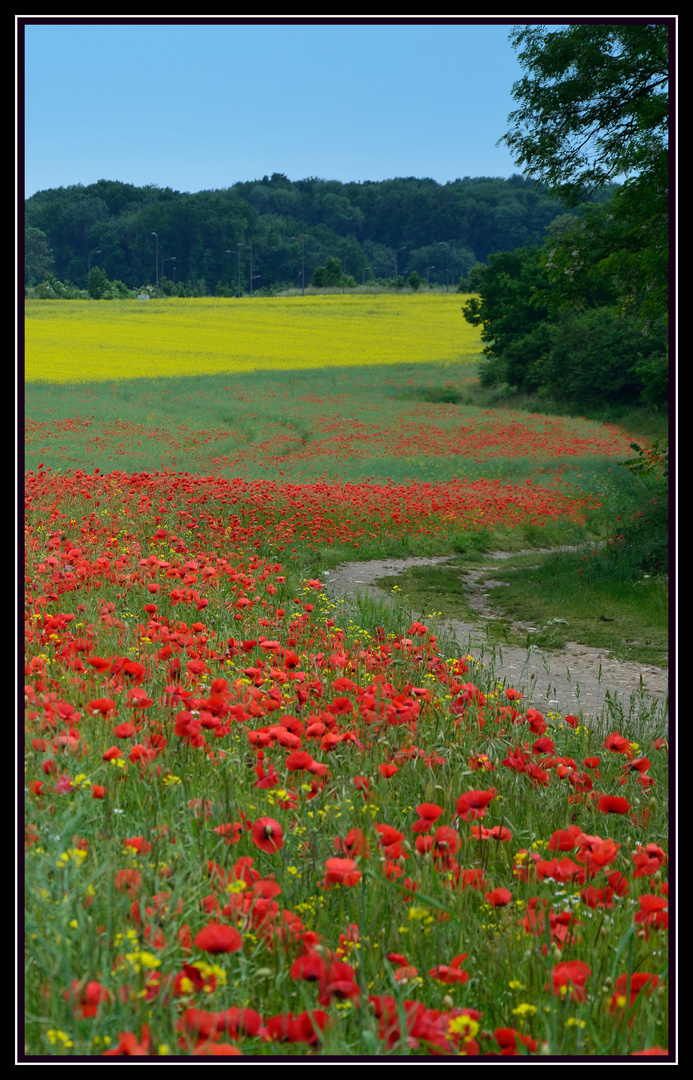 Courdimanche (pres de cergy)