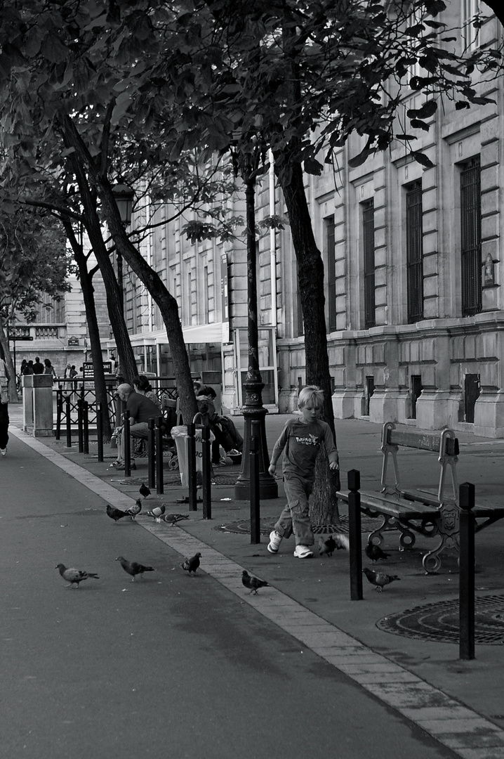 Courir après les pigeons