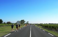 Courir et Boire - la course travers à les domaines viticole