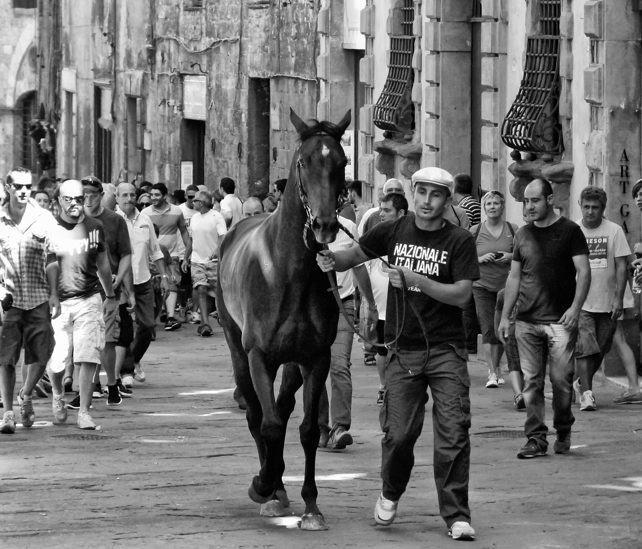 Courir le Palio : Un rêve de cheval ?