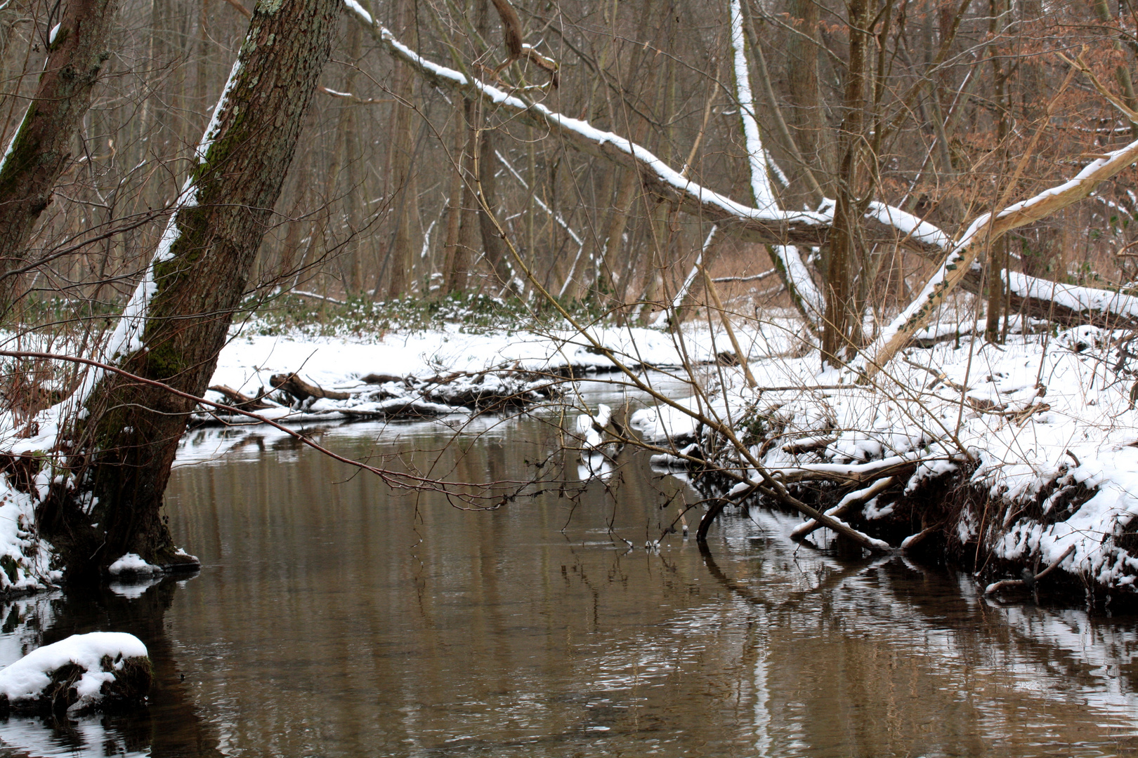 cours d'eau