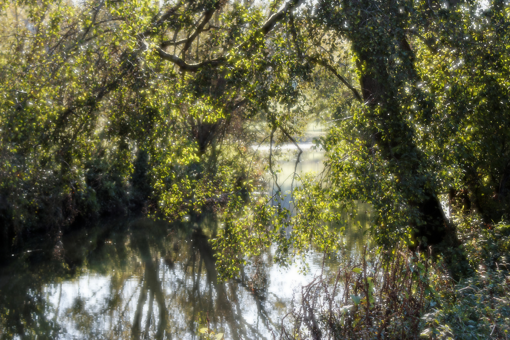 Cours d'eau en automne