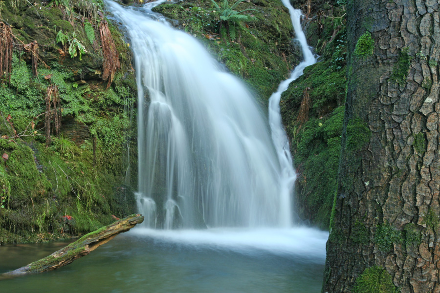 Cours d'eau paisible en Hautes Cévennes...