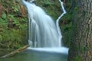 Cours d'eau paisible en Hautes Cévennes... de Sinopis 