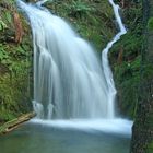 Cours d'eau paisible en Hautes Cévennes...