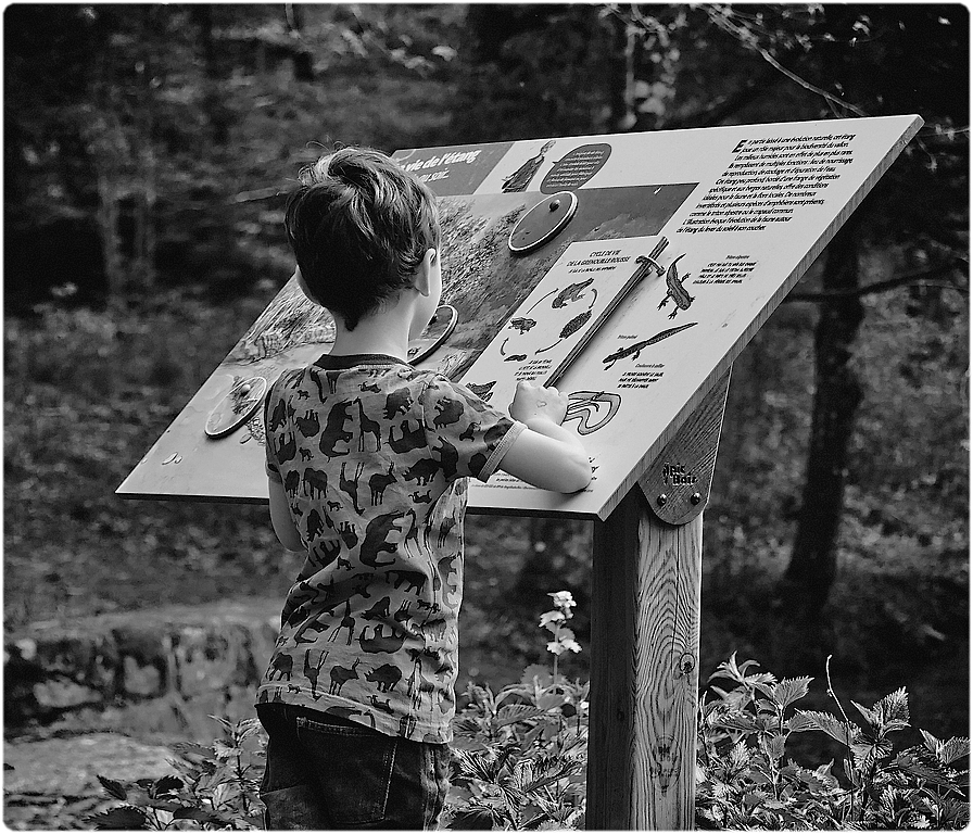 cours d'histoires naturelles