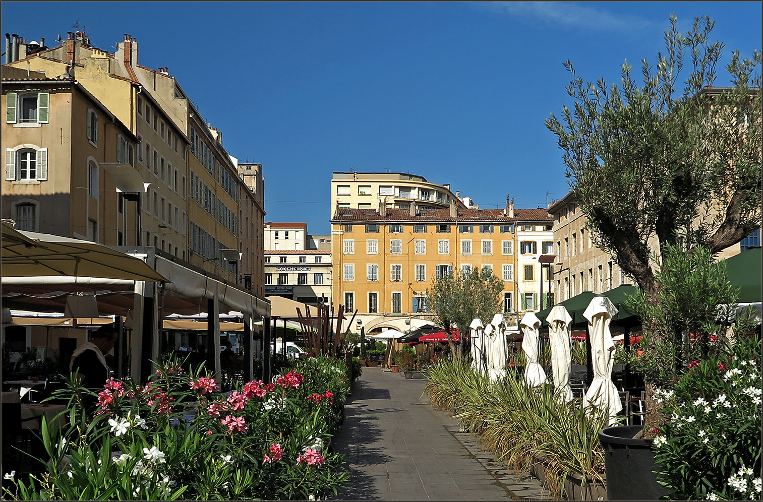 Cours Honoré-d'Estienne-d'Orves - Marseille