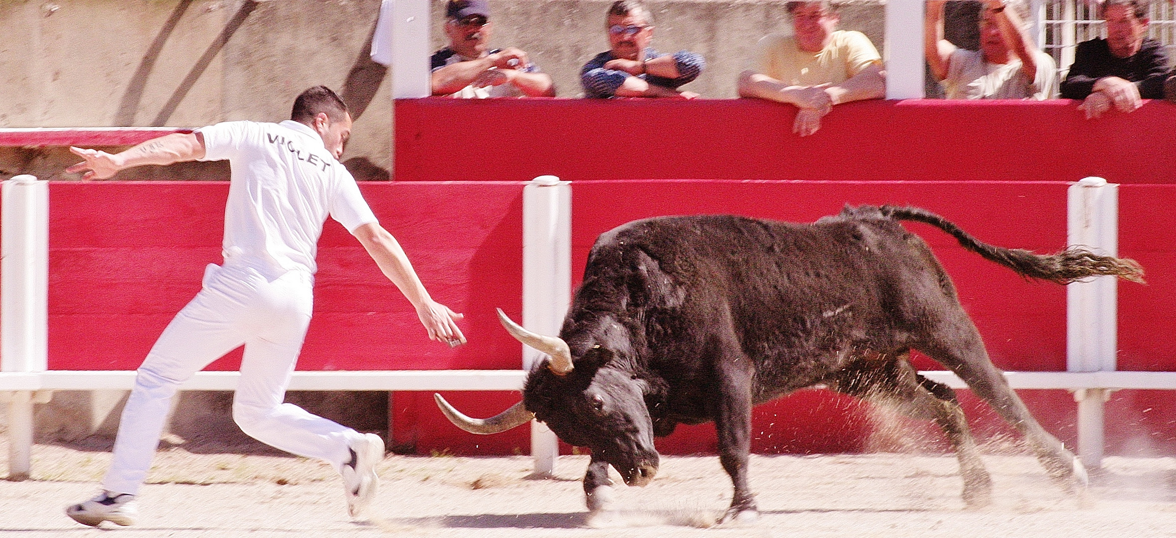 Course à la cocarde.