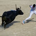 Course Camarguaise