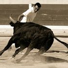 course camarguaise