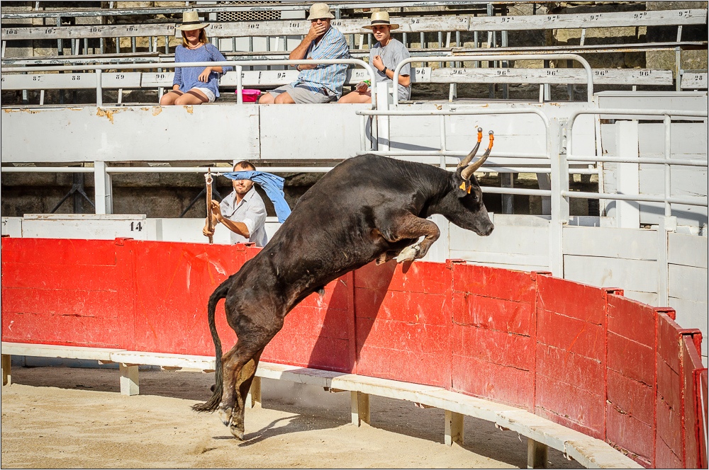 Course camarguaise (3) - Sprungkraft