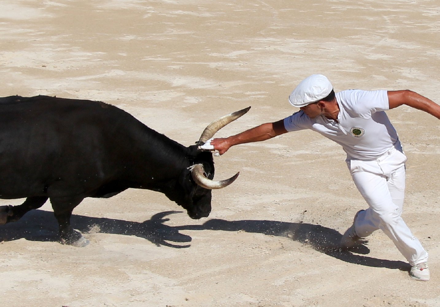 Course Camarguaise