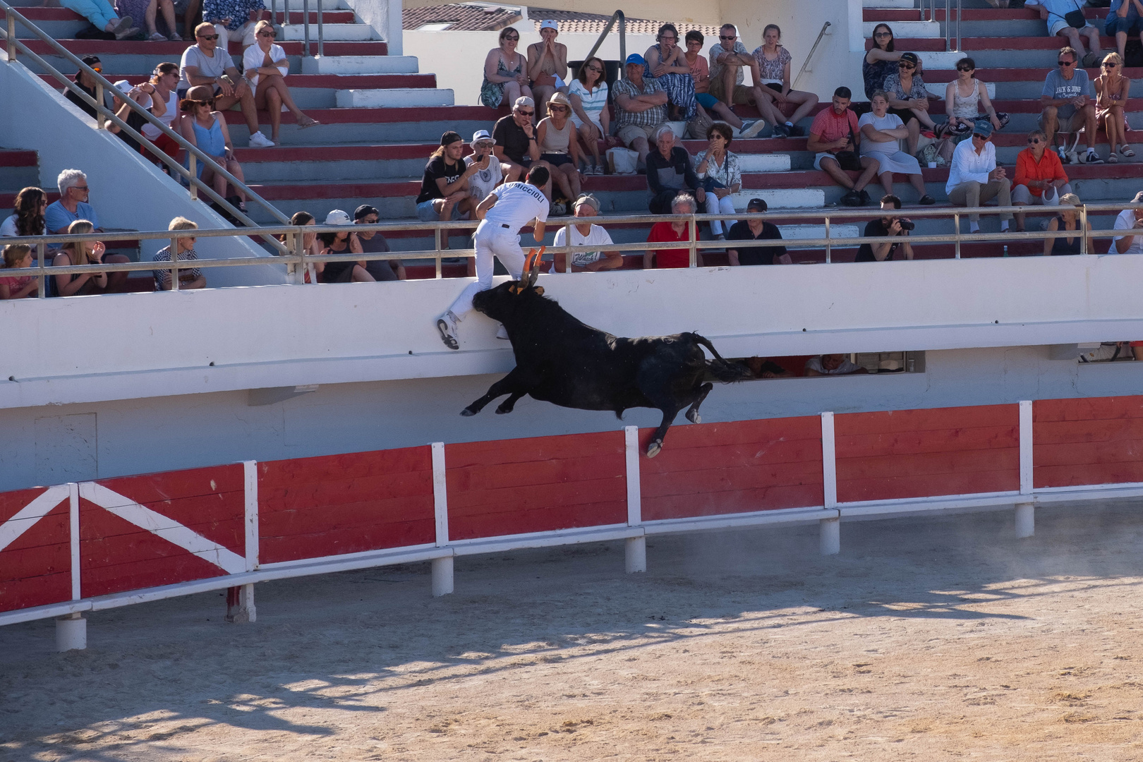 course camarguaise