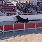 course camarguaise