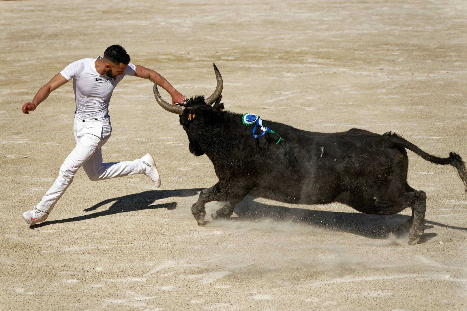 Course Camarguaise Foto & Bild europe, france, provencealpescôte d