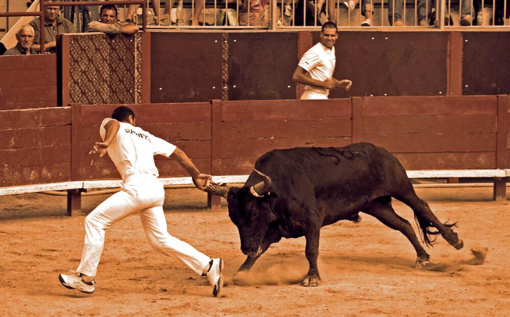 course camarguaise