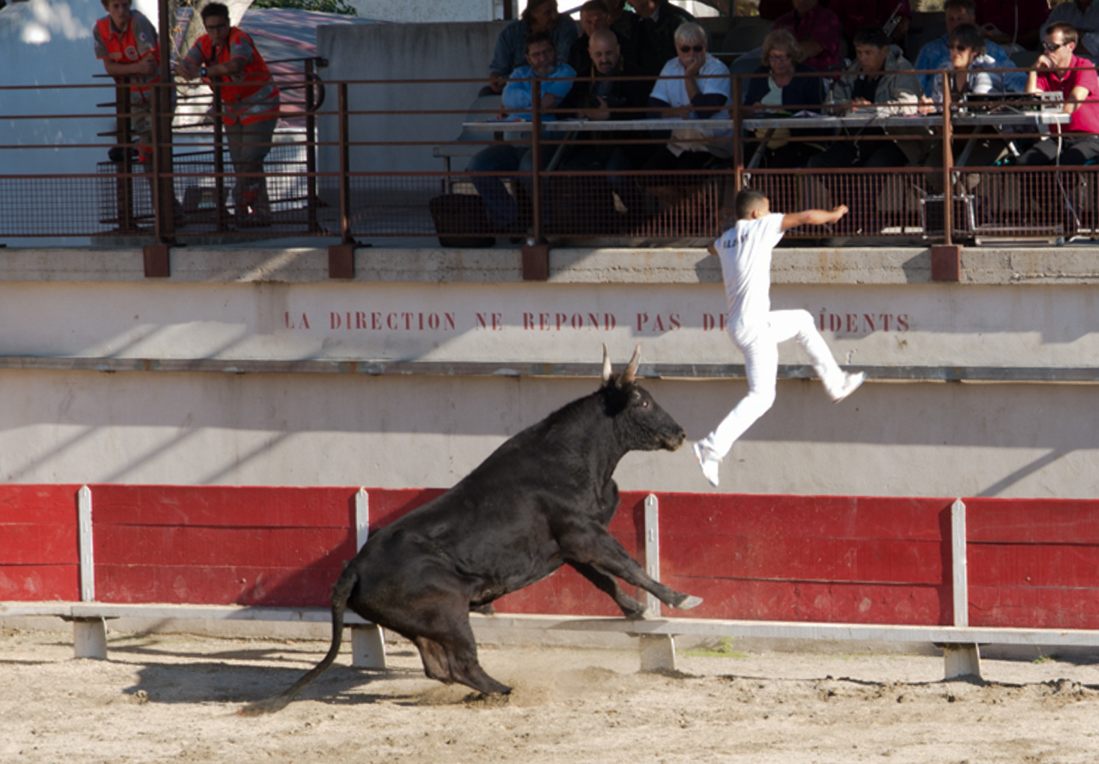 Course Camarguaise